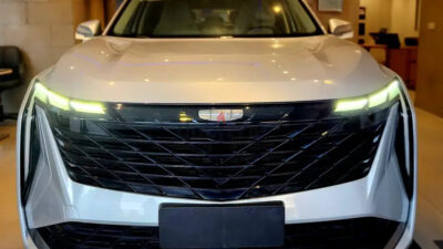 148858806-800×600-1